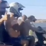 Dog steers motorcycle w/2 passengers.