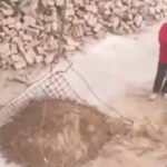 Man shovels pile of dirt onto net…it falls through the holes.