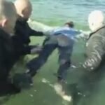 Lucky migrant gets free trip home.