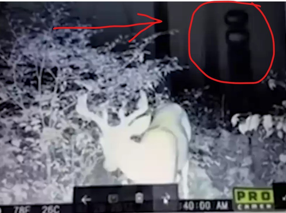 Strange being/creature recorded on someone’s trail/home camera behind a deer; it notices it too…