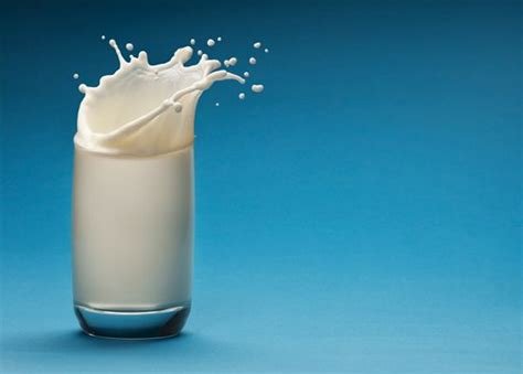 The History Of Milk