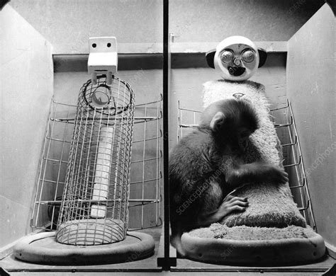 Watch- 1925 Scopes Monkey Trial Documentary